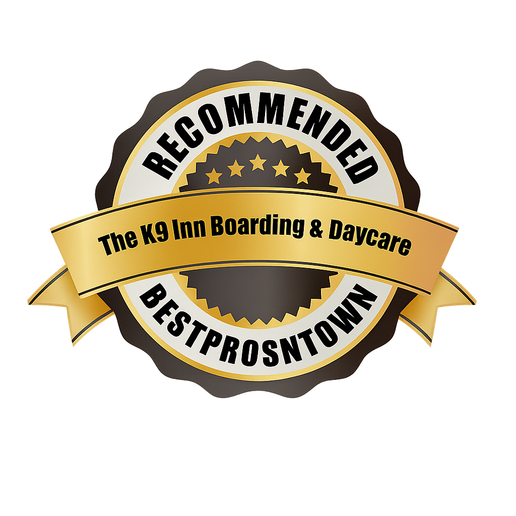 Best Pros in Town Award